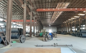 1767923723682971.jpg thumb_20260109095521_226.jpg